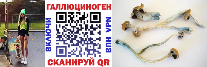Псилоцибиновые грибы мицелий  что такое   Лагань 