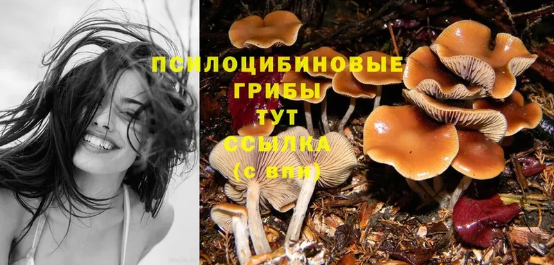 Псилоцибиновые грибы MAGIC MUSHROOMS  кракен вход  Лагань 